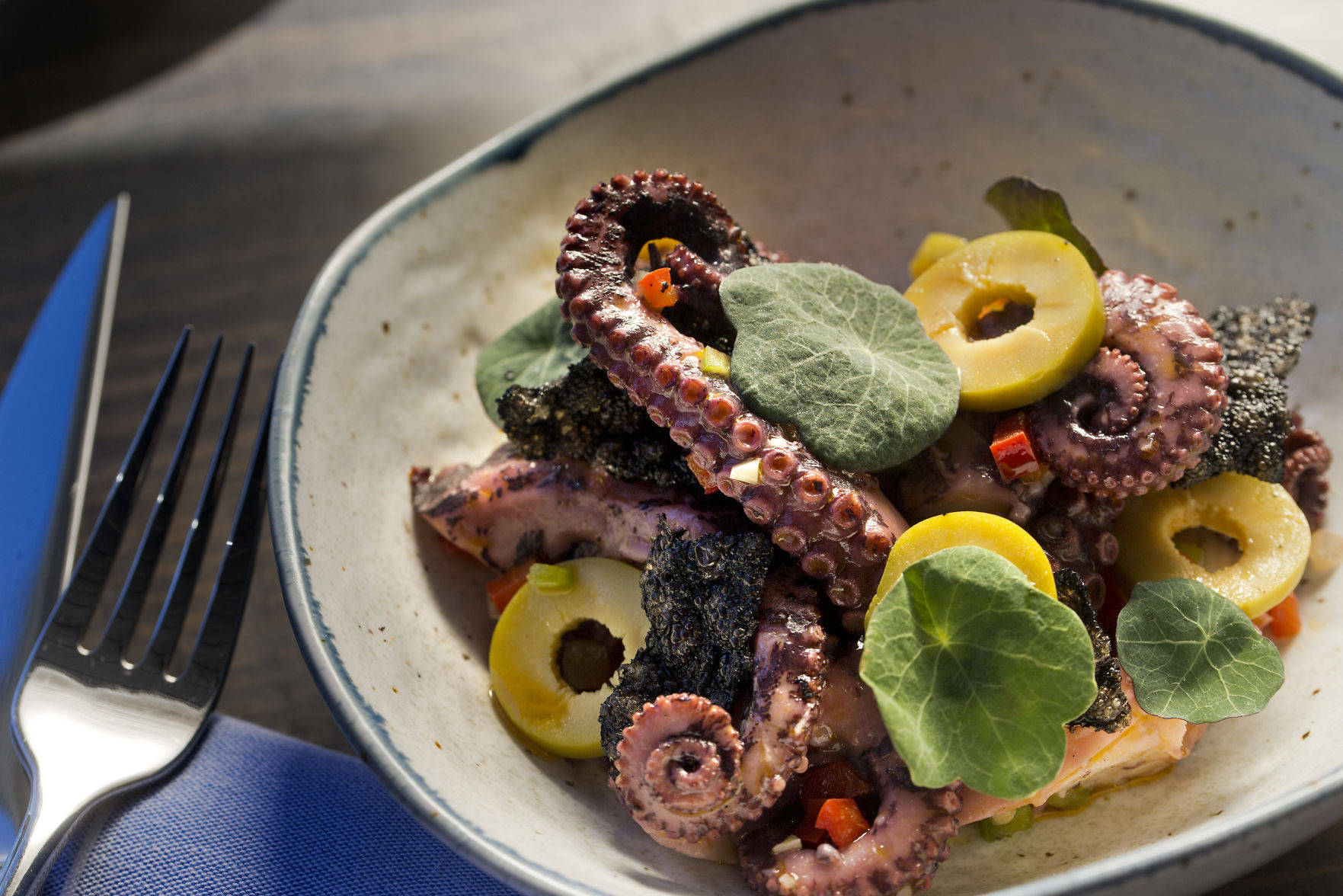 octopus.jpg